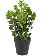 Kunstig plante Vicks 33 cm