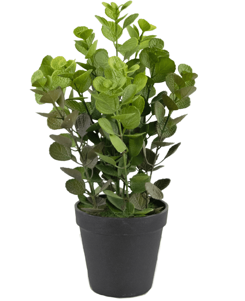 Kunstig plante Vicks 33 cm