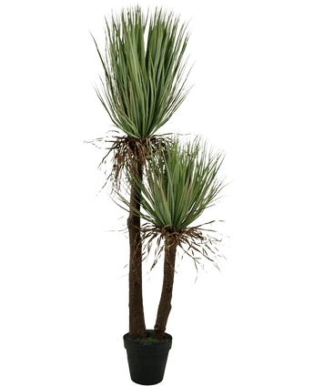 Kunstig plante Yucca Deluxe 153 cm