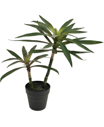 Kunstig plante Yucca gigantea 53 cm