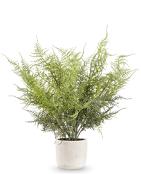 Kunstig Asparges bregne i Krukke 43cm