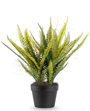 Kunstig Boston Bregne 53cm