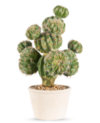 Kunstig Kaktus "Pinnsvinkaktus" 32cm
