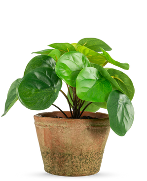 Kunstig Mini Pengeplante i Retropotte UV 15cm