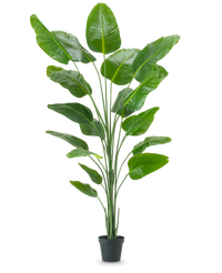 Kunstig Strelitzia Real Touch 240cm