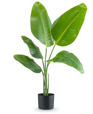 Kunstig Strelitzia Real Touch 90cm