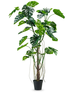 Kunstig plante Monstera 240cm