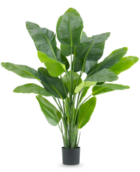 Kunstig plante Strelitzia Real Touch Deluxe 180cm
