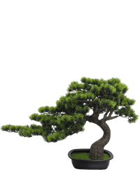 Kunstige Bonsai Furu UV 53 cm