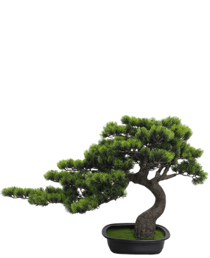 Kunstige Bonsai Furu UV 53 cm