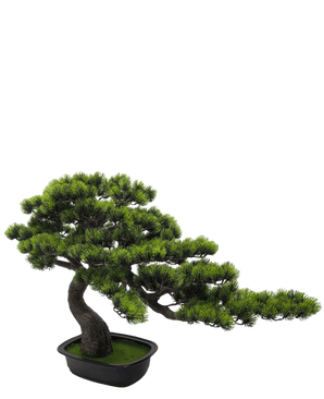 Kunstige Bonsai Furu UV 55 cm