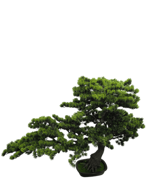 Kunstige Bonsai Furu UV 92 cm