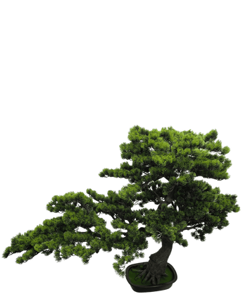 Kunstige Bonsai Furu UV 92 cm