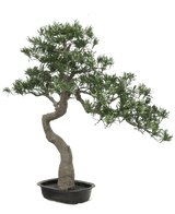 Kunstige Bonsai Podocarpus UV 90 cm