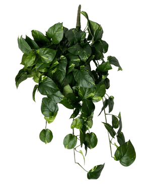 Kunstige Hengende Gullranke Deluxe 80cm