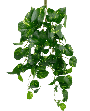 Kunstige Hengende Gullranke 60cm