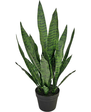 Kunstig Sansevieria Zeylanica 71cm