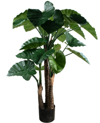Kunstig Alocasia 150 cm