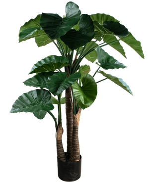 Kunstig Alocasia 150 cm