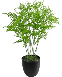 Kunstig Asparges Plante Grønn 59cm