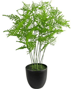 Kunstig Asparges Plante Grønn 59cm