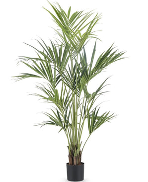 Kunstig Kentia Palme 180 cm