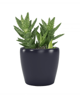 Nubia Mini Keramikkpotte Mørk Blå 8cm