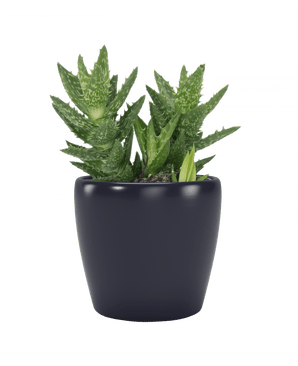 Nubia Mini Keramikkpotte Mørk Blå 8cm