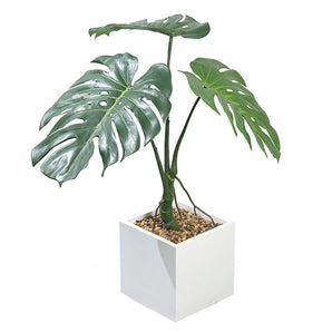 Kunstig Monstera Split 50cm UV