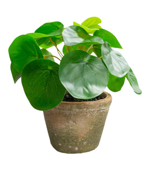 Kunstig Mini Pengeplante i Retropotte UV 15 cm