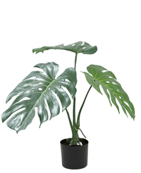 Kunstig Monstera Split 50cm