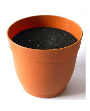 Standard potte m/skum Terracotta D11cm
