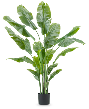 Kunstig Strelitzia Nicolai Deluxe 180cm