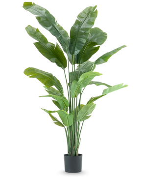 Kunstig Strelitzia Nicolai Deluxe 195cm
