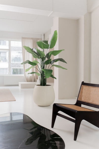 Kunstig Strelitzia Deluxe 180 cm ferdig i potte m/ dekorbark