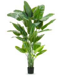 Kunstig plante Strelitzia Real Touch Deluxe 210cm
