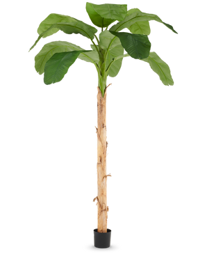 Kunstig Banantre 240 cm
