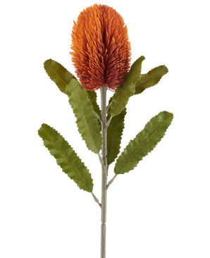 Kunstig Banksia Oransje 65 cm