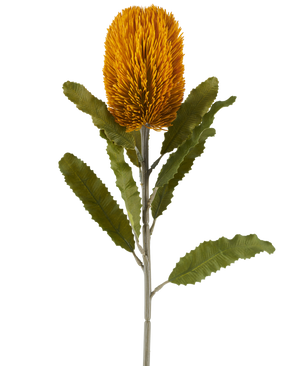 Kunstig Banksia Rust 65 cm