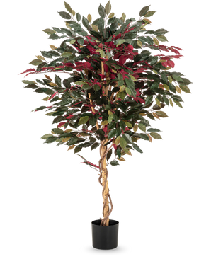 Kunstig Fat Fikus Burgunder 150cm