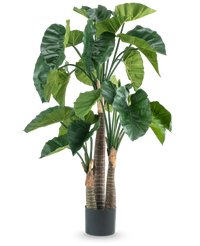 Kunstig Alocasia 150cm