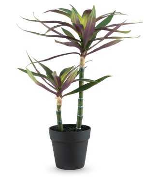 Kunstig Plante Yucca Grønn/lilla 53 cm