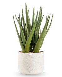 Kunstig Plante Aloe Vera 43 cm