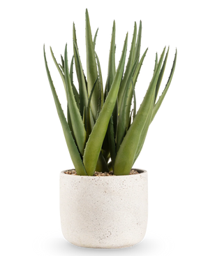 Kunstig Plante Aloe Vera 43 cm