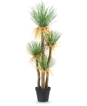 Kunstig Plante Yucca Deluxe 182 cm