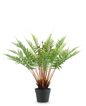 Kunstig Plante Bregne 66 cm