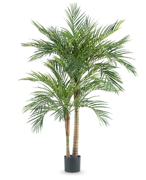 Kunstig Areka 2 Stammer 180 cm