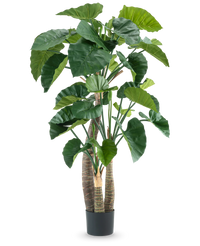 Kunstig Alocasia 180cm