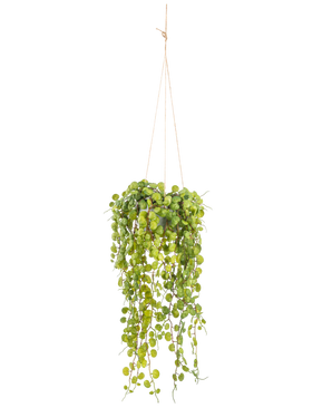 Kunstig Hengende Sukkulent i potte 53cm