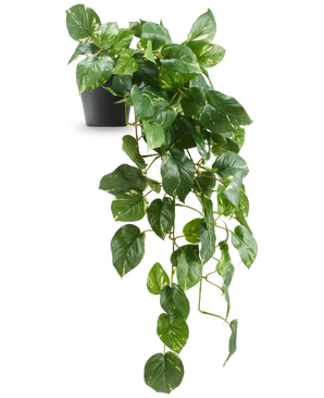 Kunstige Hengende Gullranke Deluxe i Potte UV 80cm